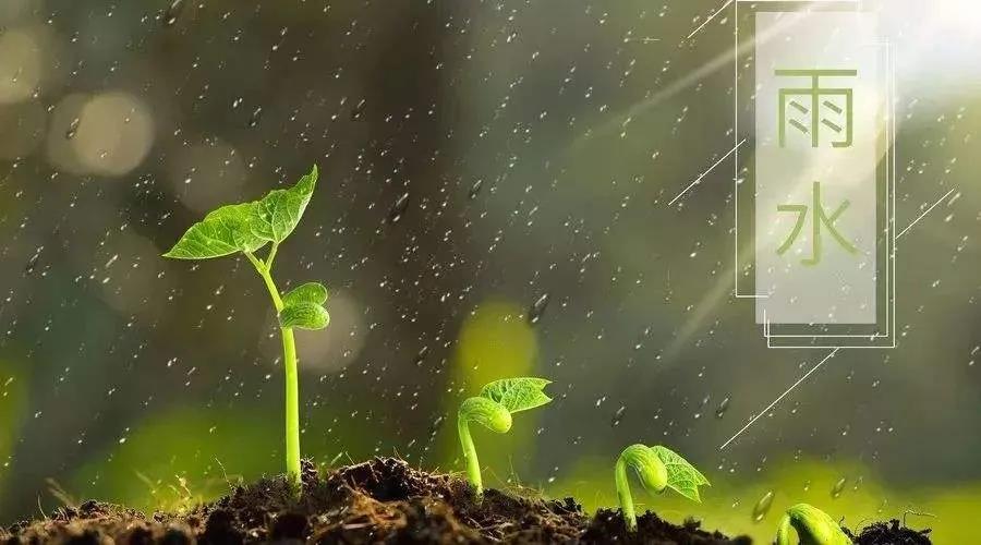 雨水 雨水