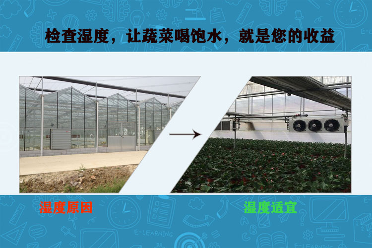 大棚通风降温方案