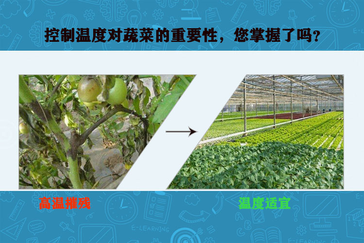大棚通风降温方案